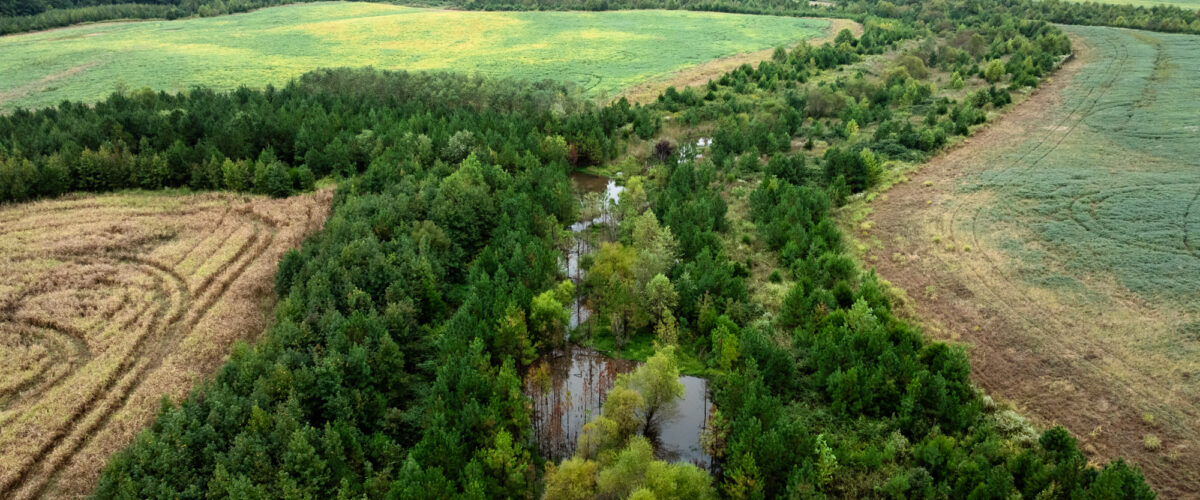 Aerial of green fields, stream, distant factory under clouds.